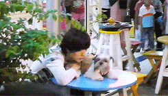 chaootic:  a duck with a dog (｡◕‿‿◕｡) 