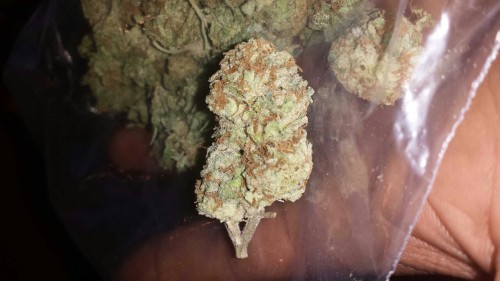 Smells Like Bong Water