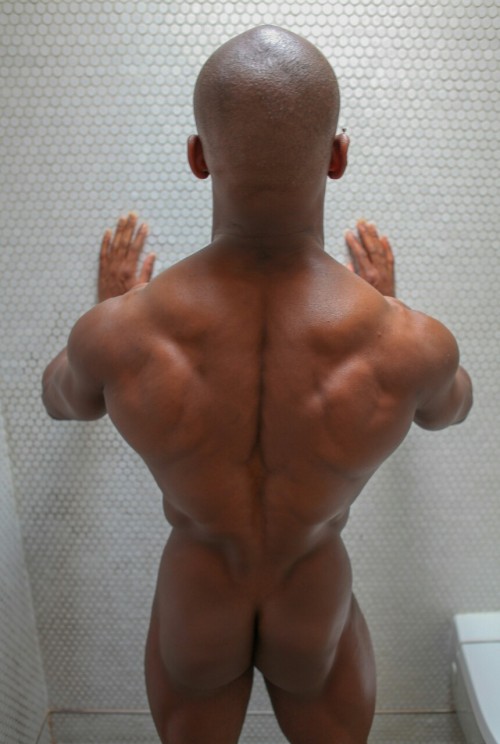 my black kingUntitled