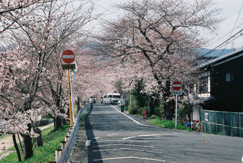fuckyeahjapanandkorea:  上賀茂 by zyu10