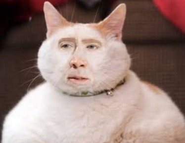 Cats (2019)