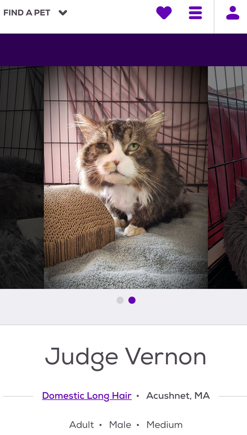  petfinder names On Tumblr