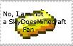 skyanti