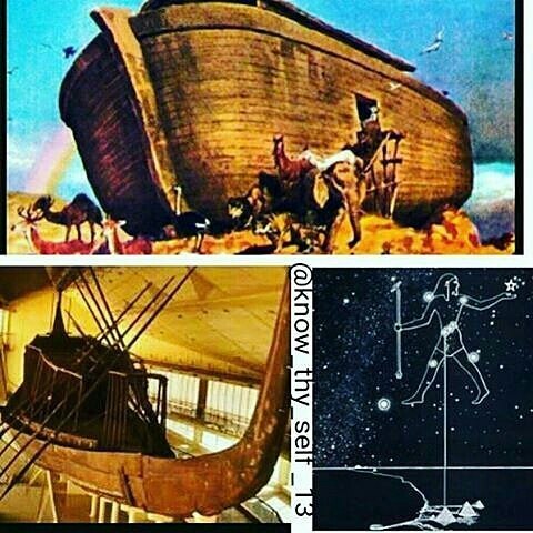 @Regrann from @chididdy26-@Regrann from @purelocs -Noah’s Ark or Nu-Ankh.Noah’s Ark is a