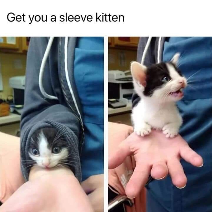 somecutething:  