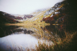 elenamorelli:  { rainy autumn day } 