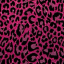b0e0t0a