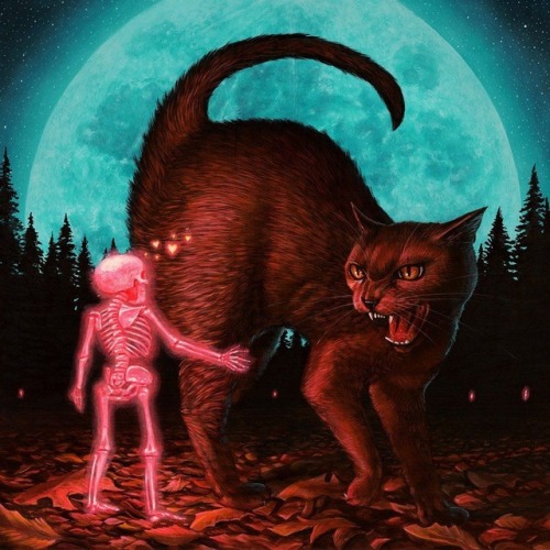 nevver:Too many creeps, Casey Weldon