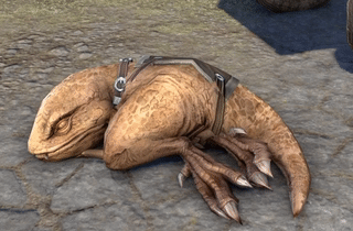 screenshotshutterbug: Ahhh I died of cute at the pony guar wiggling in his sleep. I hope he’s catching something tasty.