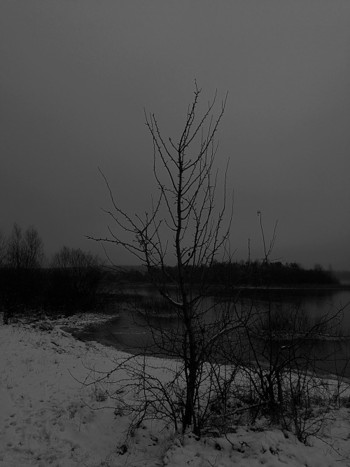 #my photography#my photos#my edits#poland#polska#europe#travel#photography#dark#dark photography#winter#december#mood#atmosphere#black metal #atmospheric black metal #doom metal#lake#trees#snow#cold#pagan#slavic#norse#nordic#thoughts#nature#dark nature #black and white
