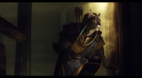 the-dubstep-snowberry: nathansummers:  dovahslair:  Khajiit by Margo L. Before I was able to mod, I used to always play as Khajiit because the vanilla humanoids were too ugly. >_>  Lately I’ve had human/elven PCs, but still hang around with a