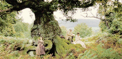 elizabetbennet:From the first moment I met you, your arrogance and conceit, your selfish disdain for