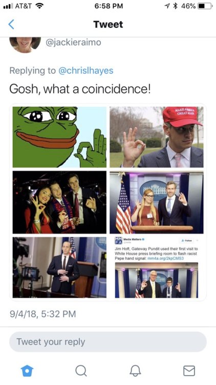 ohnoagremlin:  maswartz: At this point we can stop with the whole “it’s just a meme thin