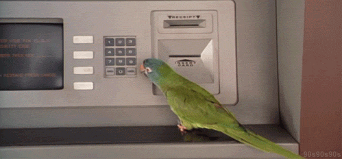 importantbirds:  monetizeyourcat:  #bird#birds cant open accounts that is illegal#white collar crime bird  How else a gotta purchag the snack a nest? Buy a sweagder? PLEASE Miz Bank allow a hold thee money 