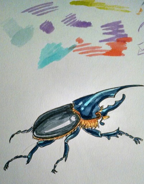 Here is a beetle I did using my favorite brush pens.