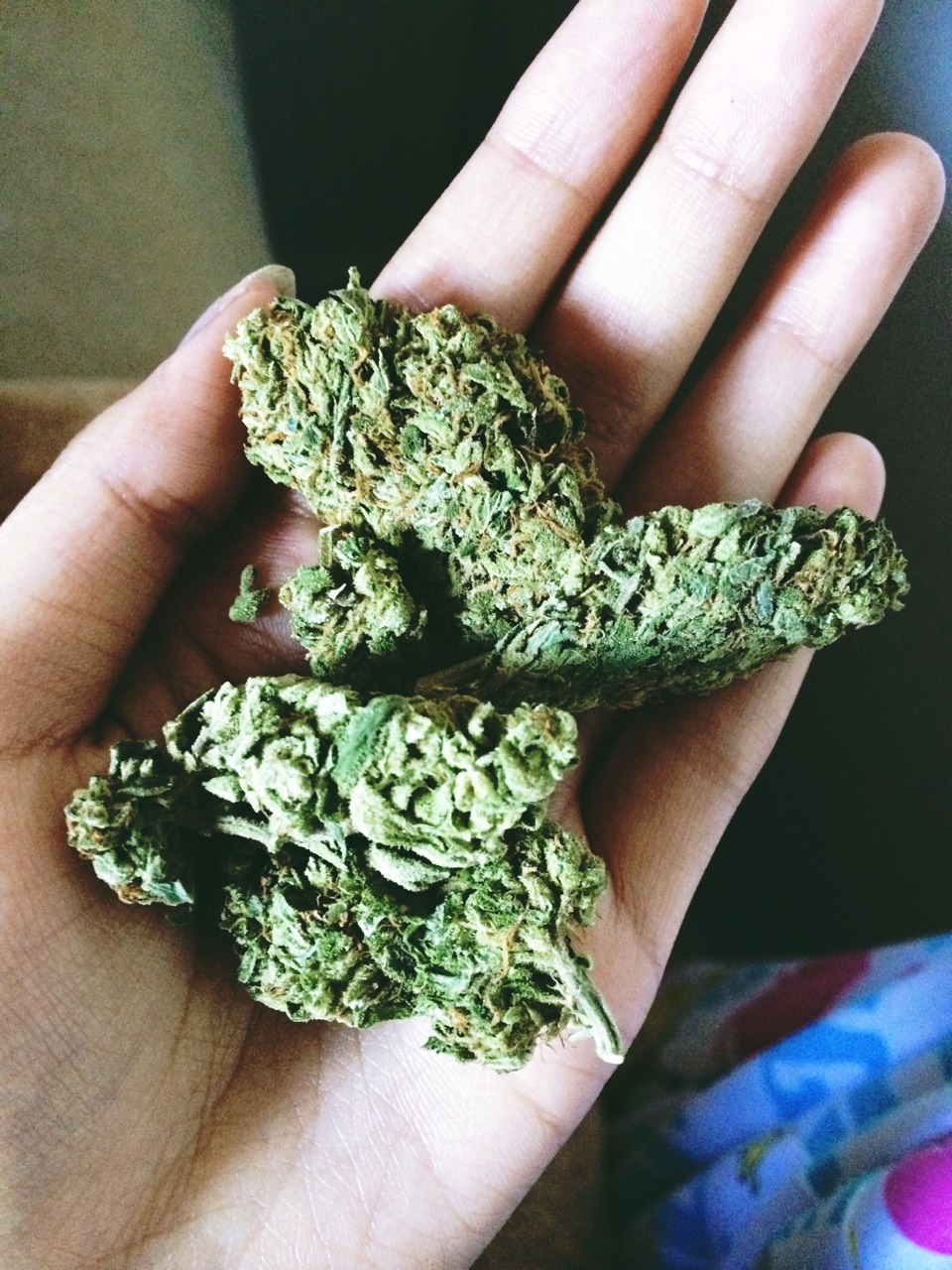 sumaiyahpapaya:  babe 👅🔥💦🍁