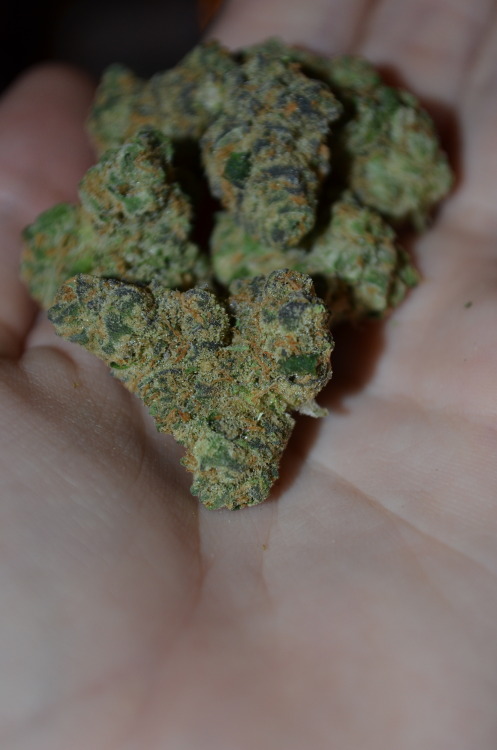 incredible-kush:  Smoking on them cookies! 