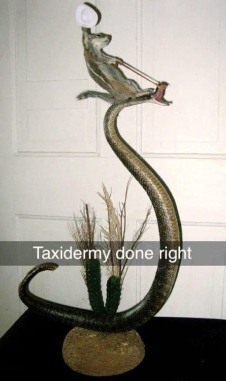 edensmidian: