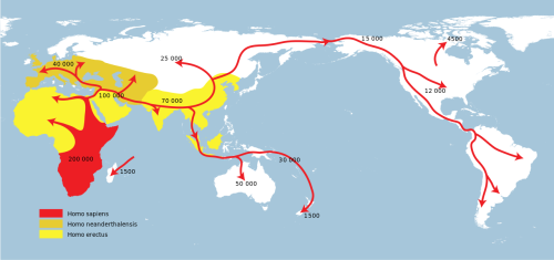 mapsontheweb: Paleolithic migrations of Homo sapiens.