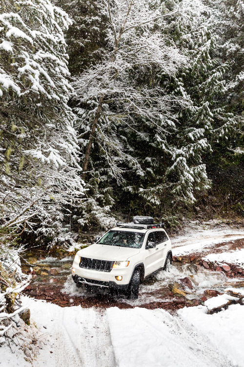 rishaddaroo: Off-Road in Motana’s back country. 