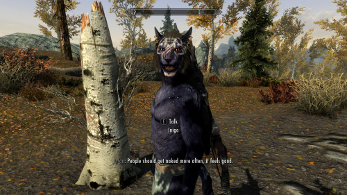 mirelurk-cakes:nerdypug:onestupidadventurer:Inigo is just the best follower ever.Is he a mod though?