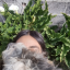 donahy01