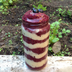 im-horngry:Vegan Smoothies - As Requested! XBlueberry Banana Smoothie!