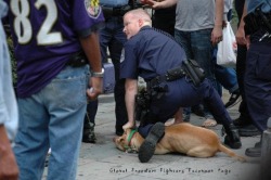 untalentedpoet:  aithne13:  violentwaters:  The dog was named Parrot. This was taken moments before Parrot was murdered by the cop. The cop drove his knee into the middle of Parrot’s back while stretching Parrot’s forelegs behind him, as one would