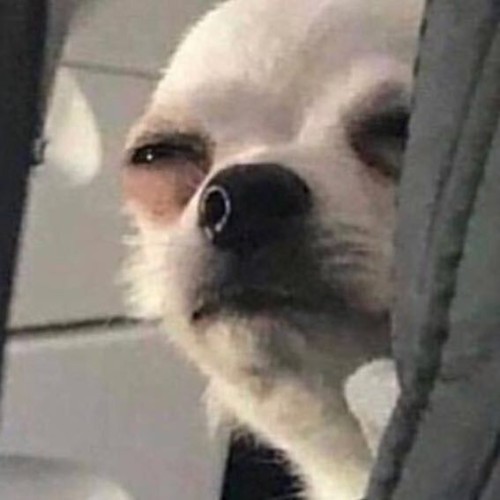 Hi :3