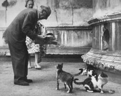 Igor Stravinsky in Venice, 1956. By the Scuola