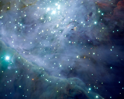 ohstarstuff:The Trapezium Cluster, is a tightly packed cluster of stars in the heart of the Orion Ne
