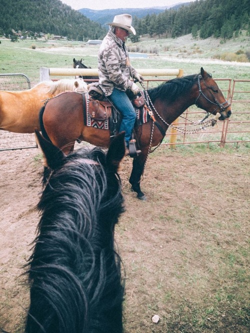 countryff4171: Views of a cowgirl. Never once have gotten over the places that horses have taken me,