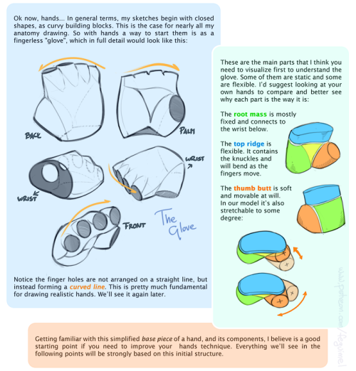 mugis-pie:  My first shot at creating a sort of tutorial/guide, telling how I do things. On this initial chapter we’re going over the handy matter of Hands.Not meaning to be an encyclopedic explanation, only showing my own methods and self-taught clues.