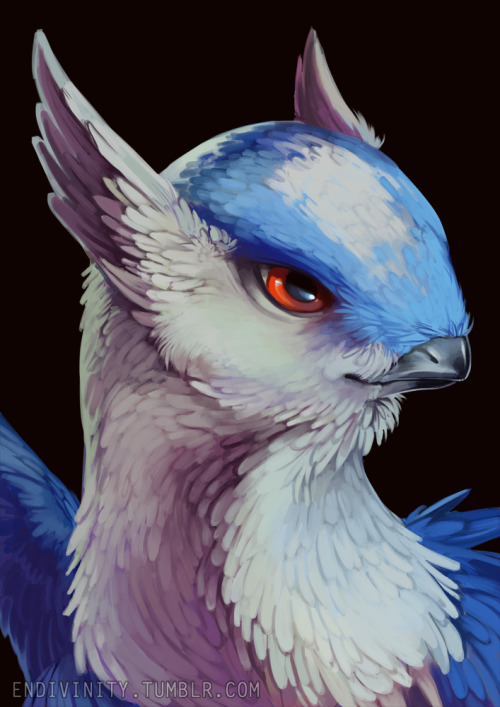 endivinity: Heres the other birdplane