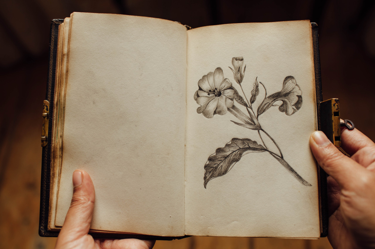 extracelestial:  a few pages from the 19th century diary of miss elizabeth aveling.