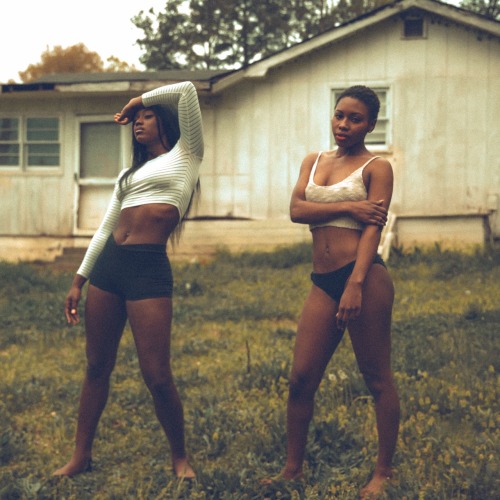 roseography:  Bando