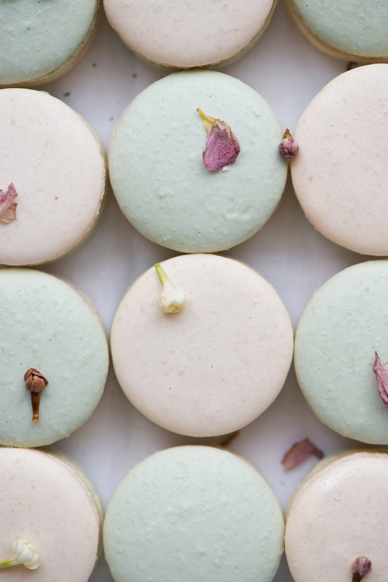 sweetoothgirl:  Pretty Macarons💜 (Recipes 1, 2, 3, 4, 5, 6, 7, 8, 9, 10) 