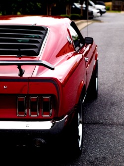 musclecarinstant:  ahhh…