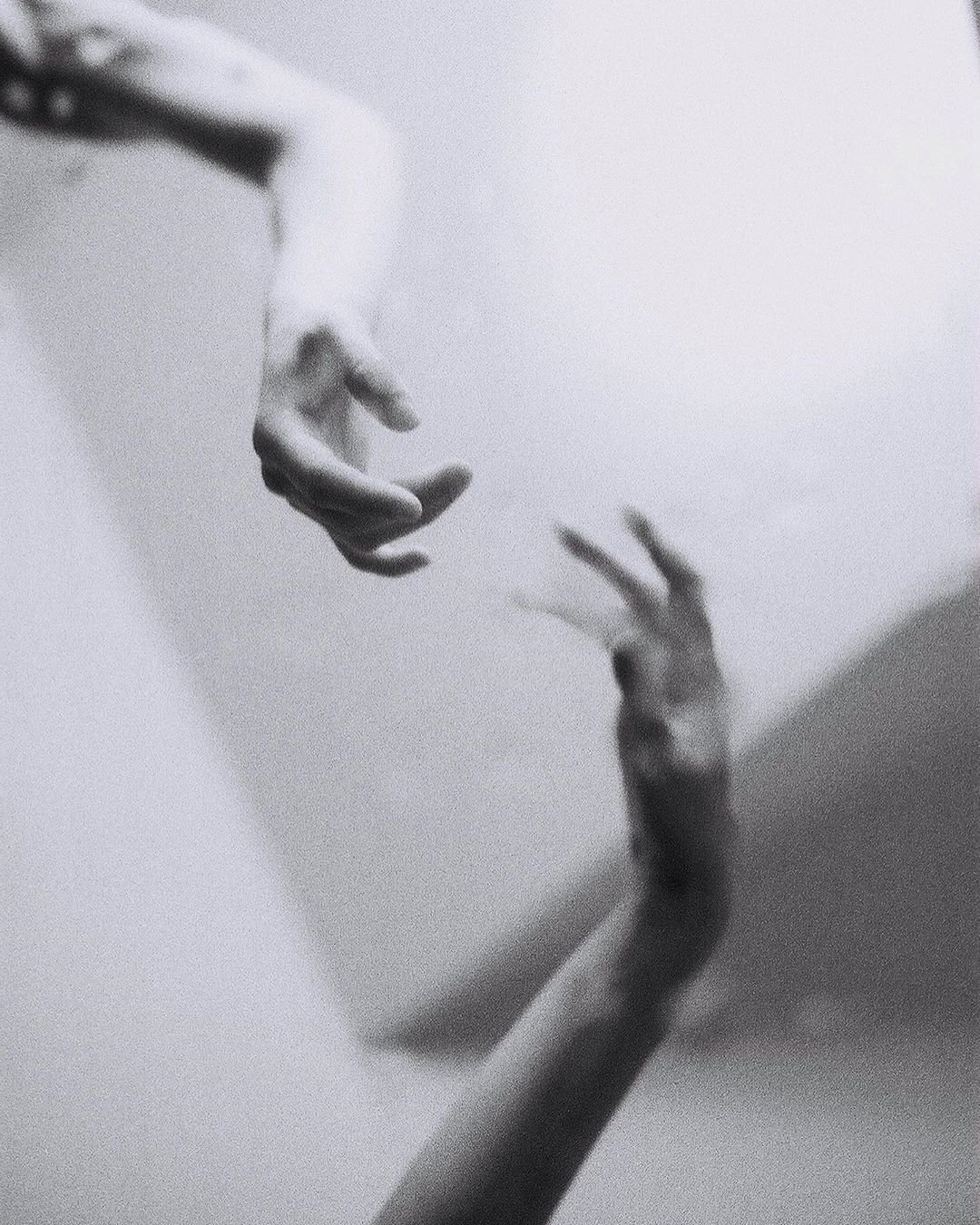 finita–la–commedia:  @seeavton 