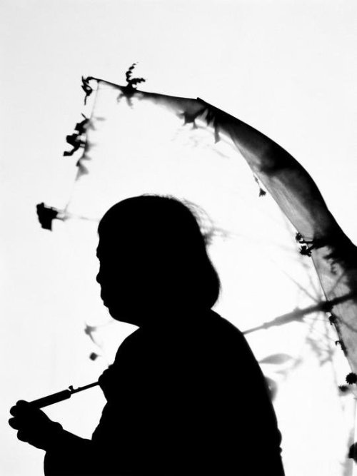 gacougnol:Kunié SuguriaYayoi Kusama C positive 2007