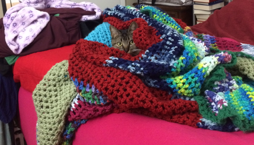 absentlyabbie: you will never be as comfy as this babbyall shall envy her, and despair