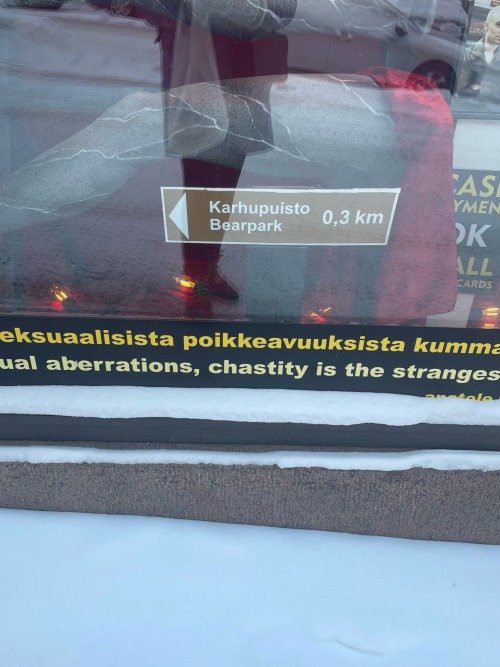 I Arrived Late In Helsinki On The 5th Of January. During The Last Leg Of My 11 Hour Bus Ride I Remembered