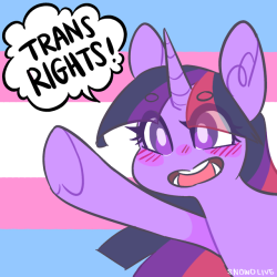 eyes-like-yourss:twilight sparkle says trans