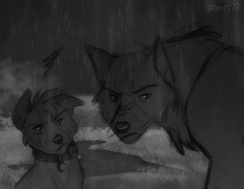 Older Stuff From Last Year.