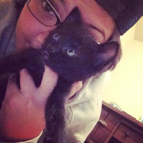 She is the cutest and she will be mine one day #kitty #cute #cat #love #lesbian #lesbihonest #lezzig