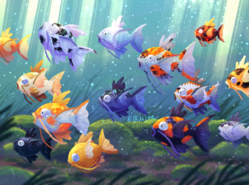 Magikarp - koi variations