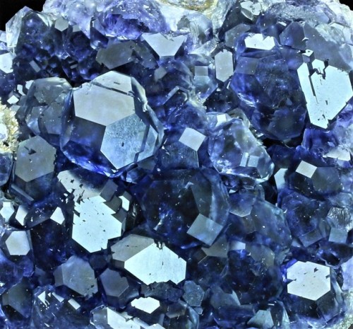 bijoux-et-mineraux:  Fluorite -  Quanzhou Prefecture, Fujian, China  