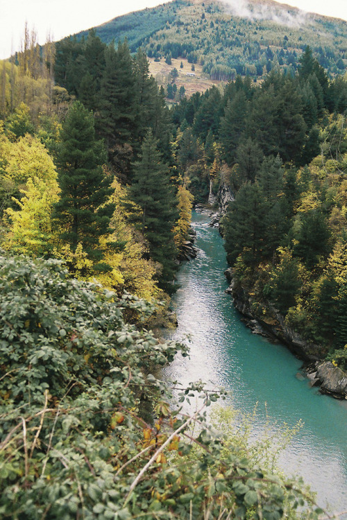 vegan-hippie:  tearingdowndoors: The Shotover River || traceyjohns 