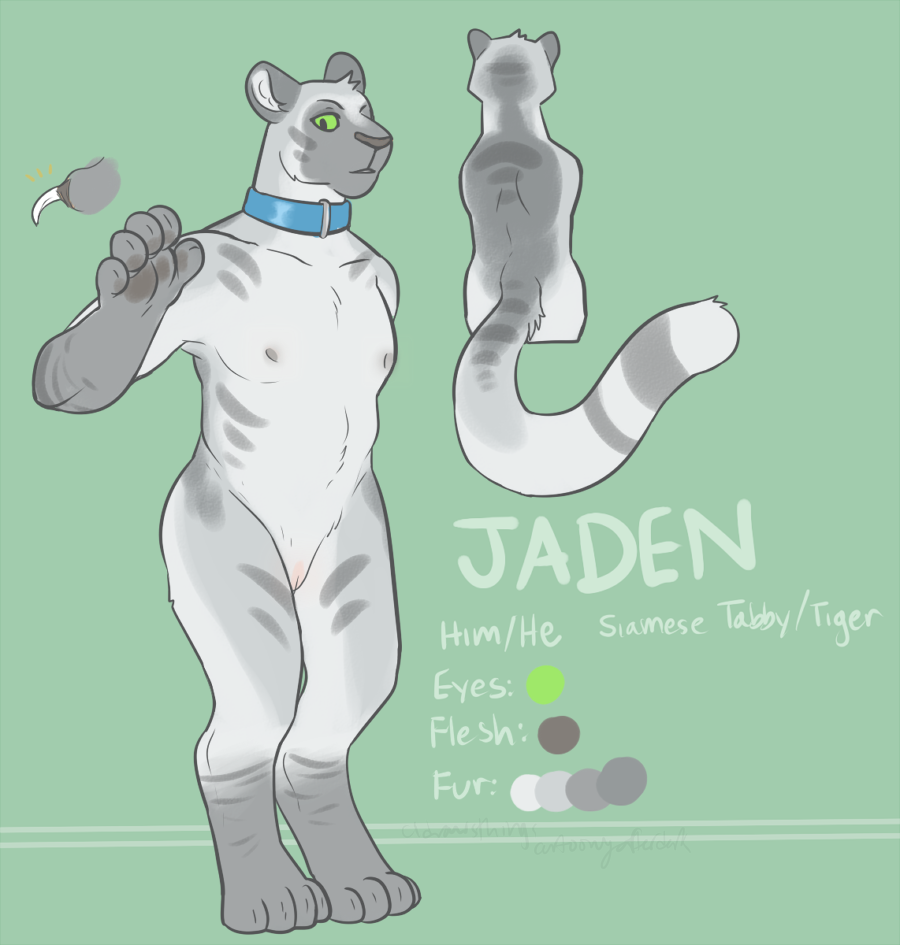 last nighti came up with an idea for two fun furry ocs, Jaden and Mellie, i’m pretty