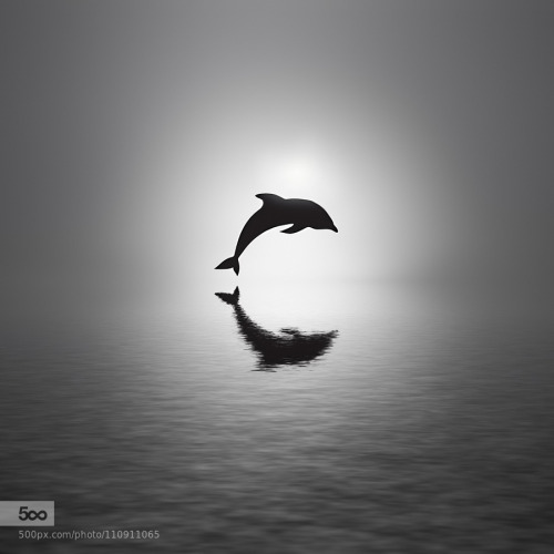 XXX 500px:  Awakening by DigitalArtPhotography photo